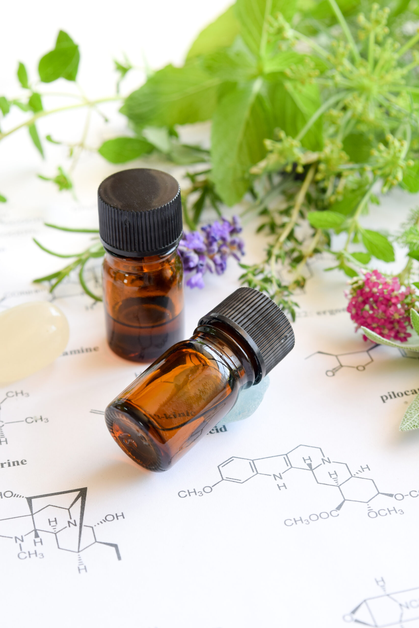 essential oils with herbs on science sheet