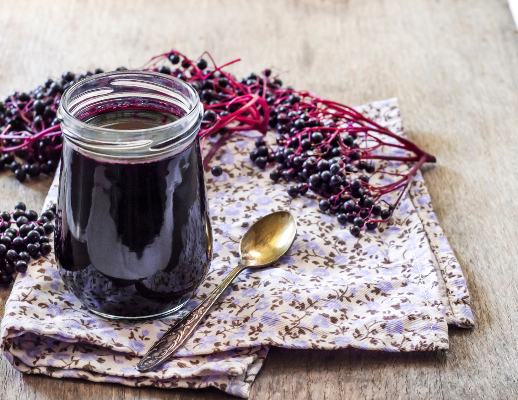 Elderberry childrens herbal course