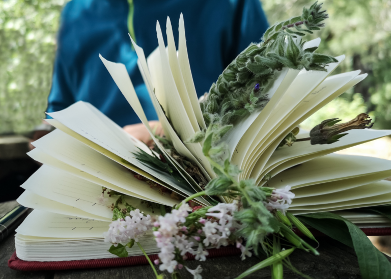 Clinical Herbalist Certification Heart of Herbs Herbal School Clinical Herbalist Certification Heart of Herbs Herbal School