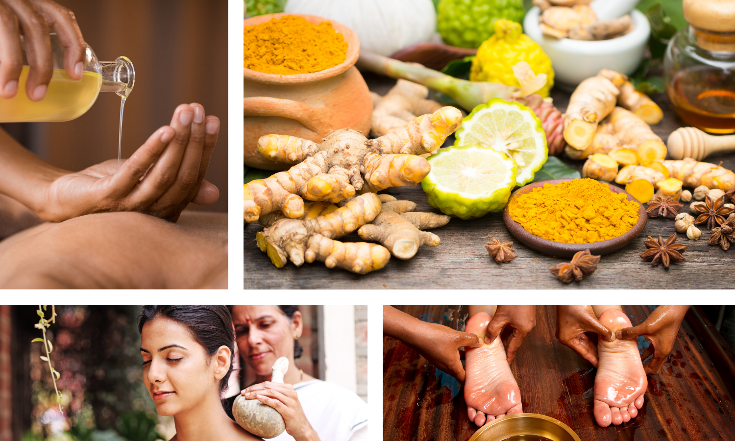 ayurveda certification