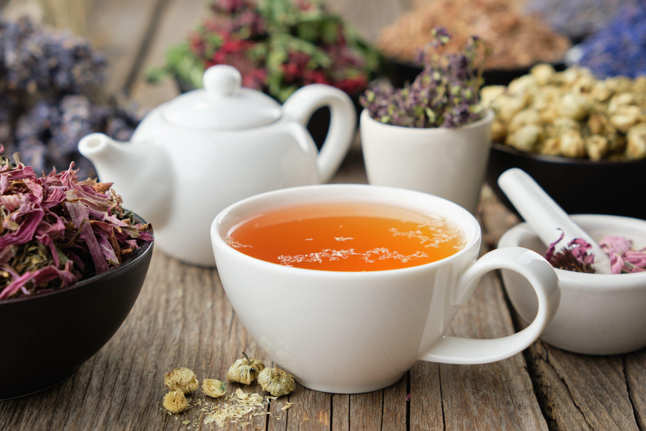 Contact us at heart of herbs Contact Us