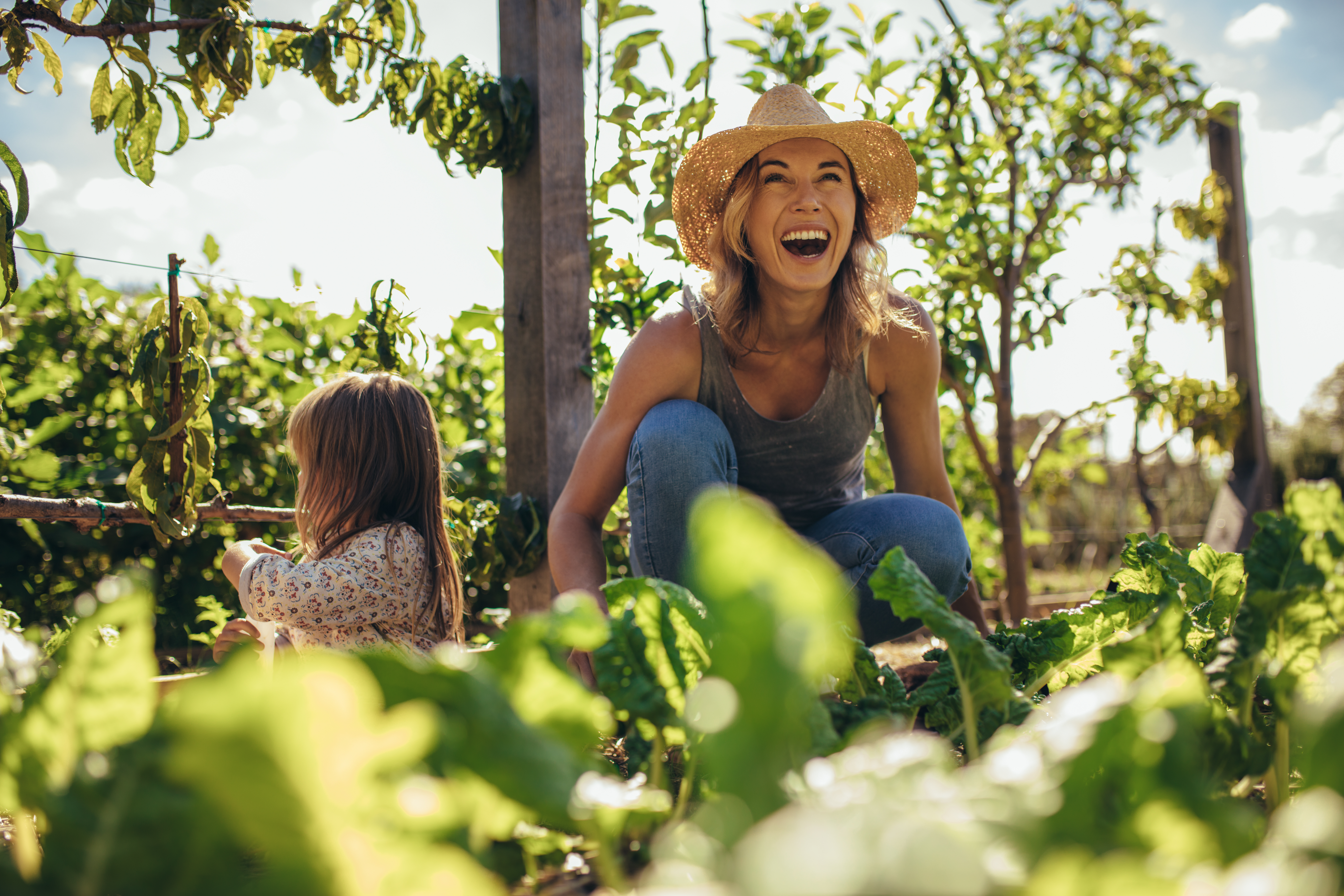 herbals for children herbals for children