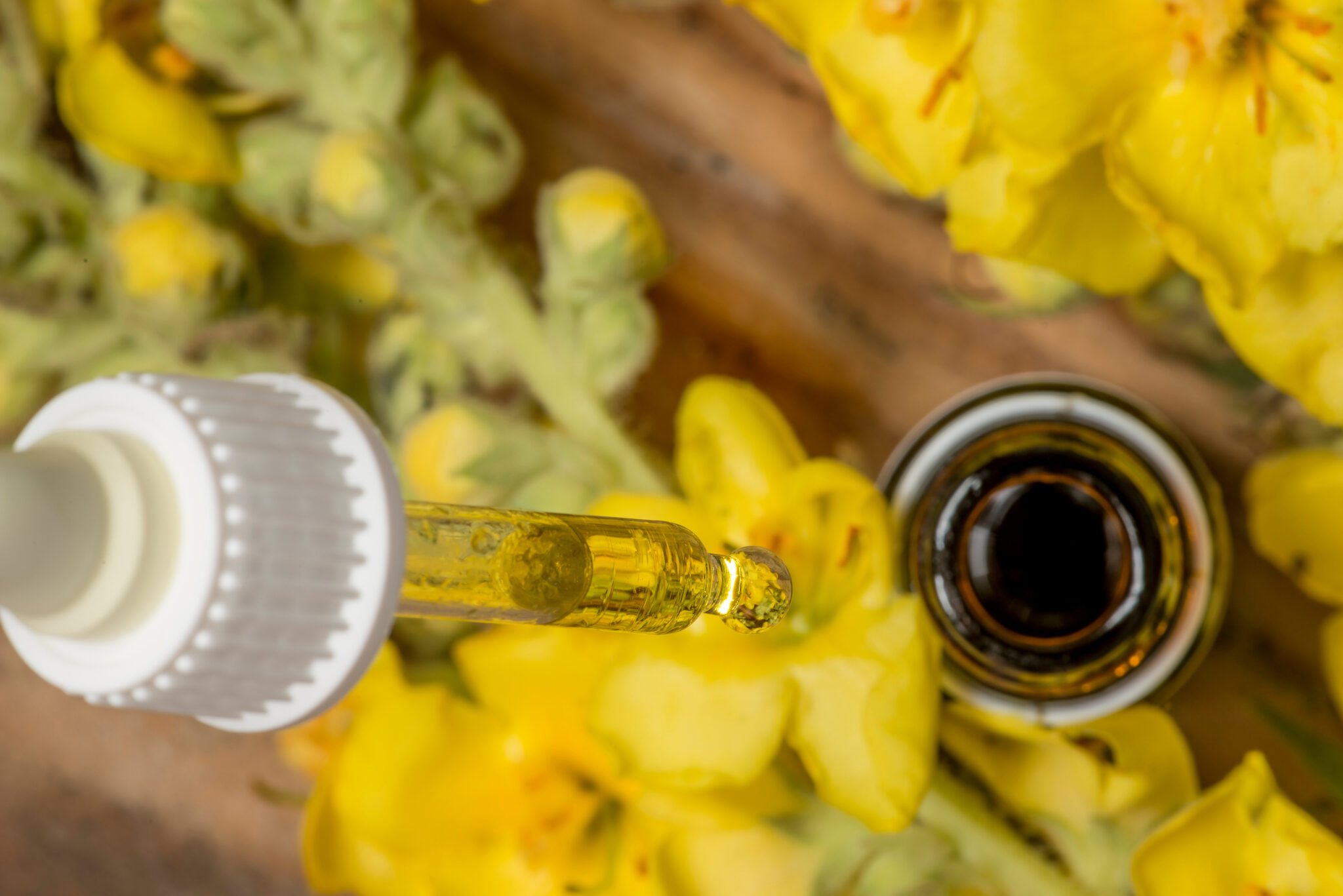 Mullein Ear Oil Heart of Herbs Herbal School