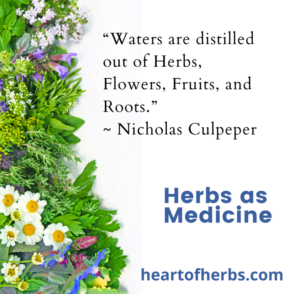 Heart of Herbs Herbal School - Heart of Herbs Herbal School