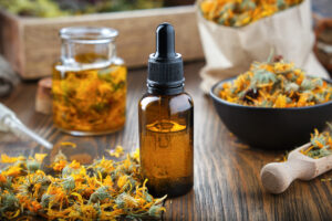 Herbs for Children calendula