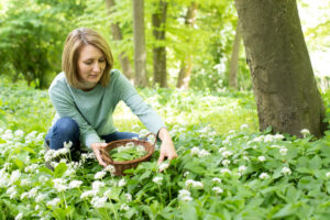 tips for foraging