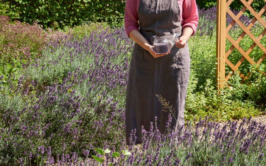 Herbalist Online Schools