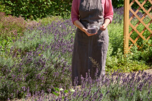 Discovering the Wonders of Herbalism: From Plant to Remedy