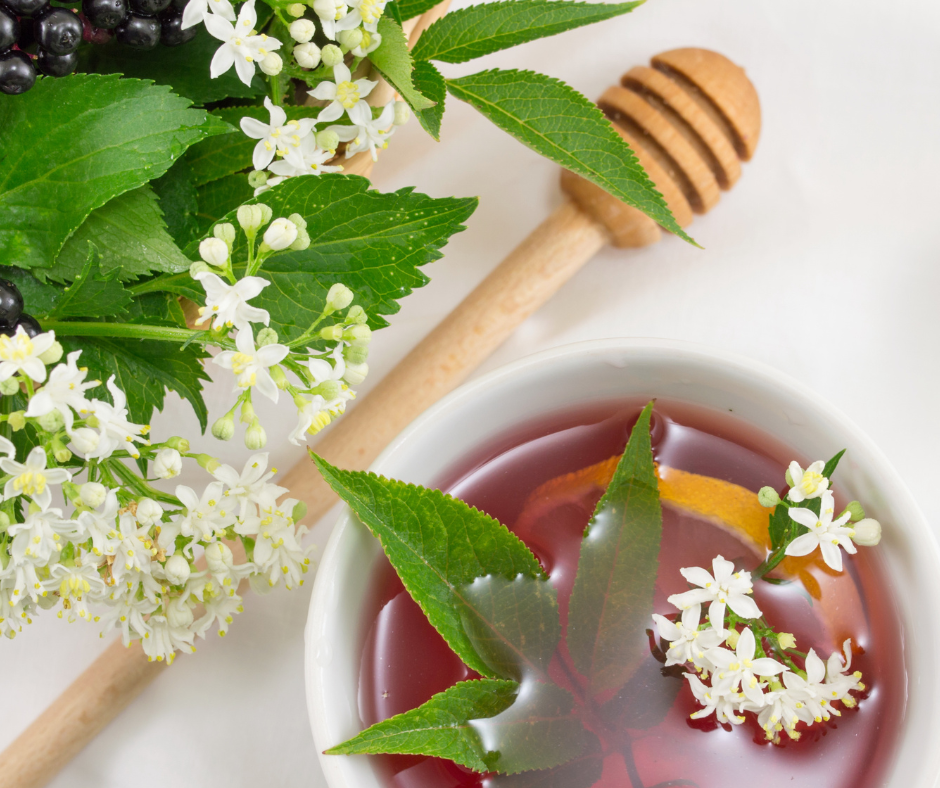 herbal immunity tea