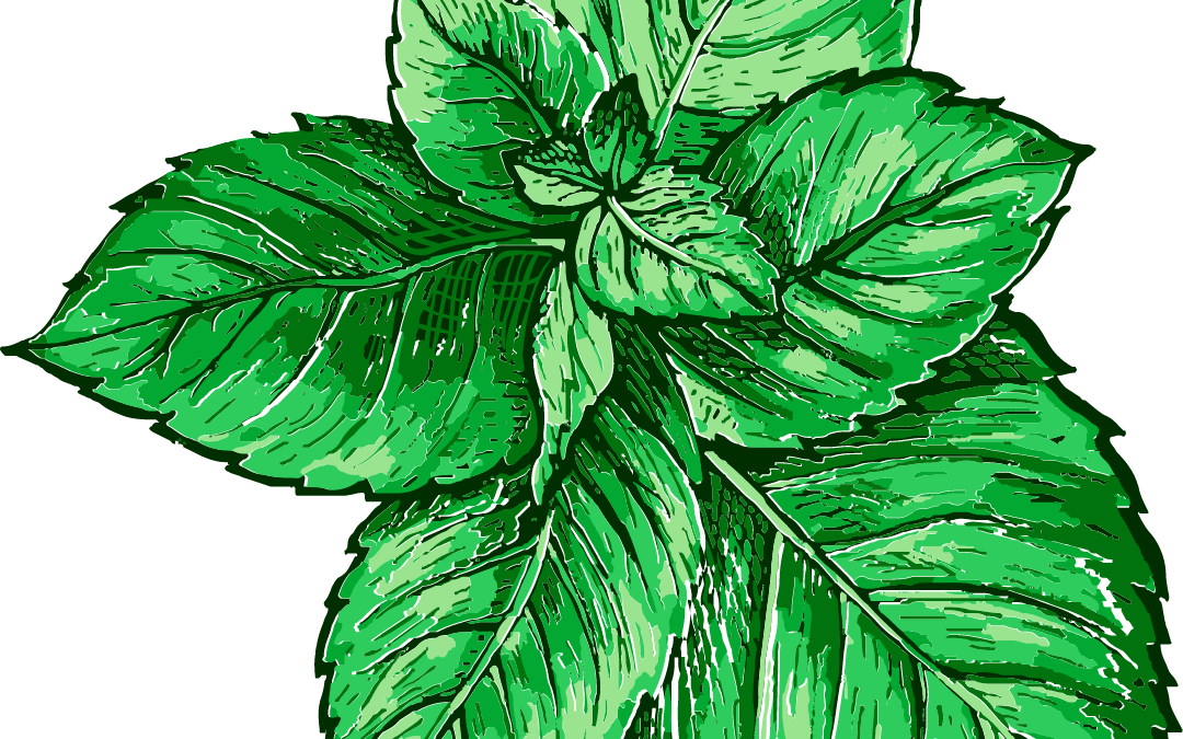 Antihistamine Herbs