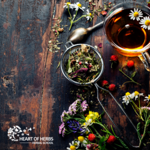 herbal safety