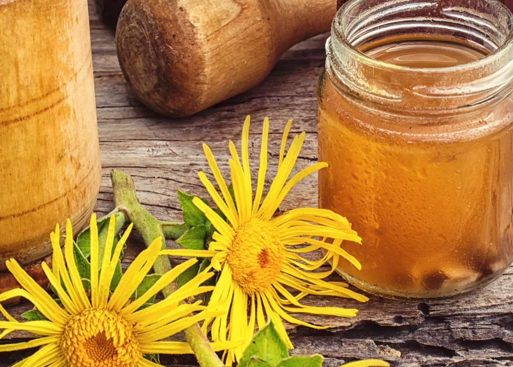 Elecampane Cough Syrup - Heart of Herbs Herbal School