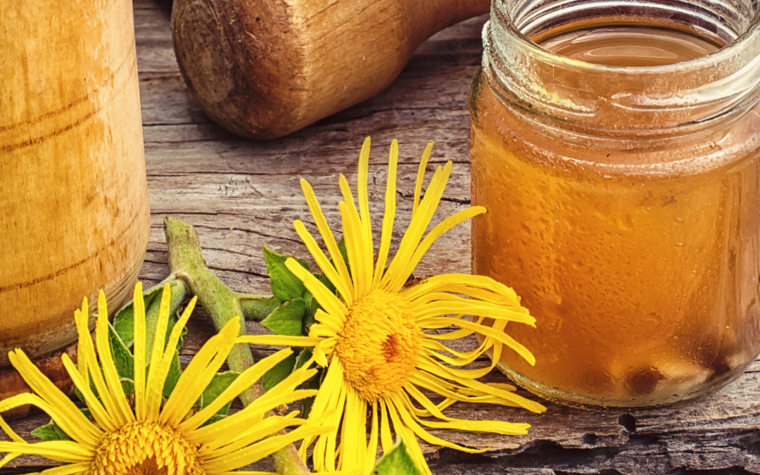 Elecampane Cough Syrup