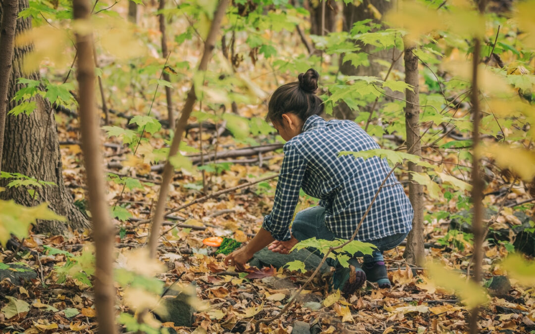 Sustainable Herbalism