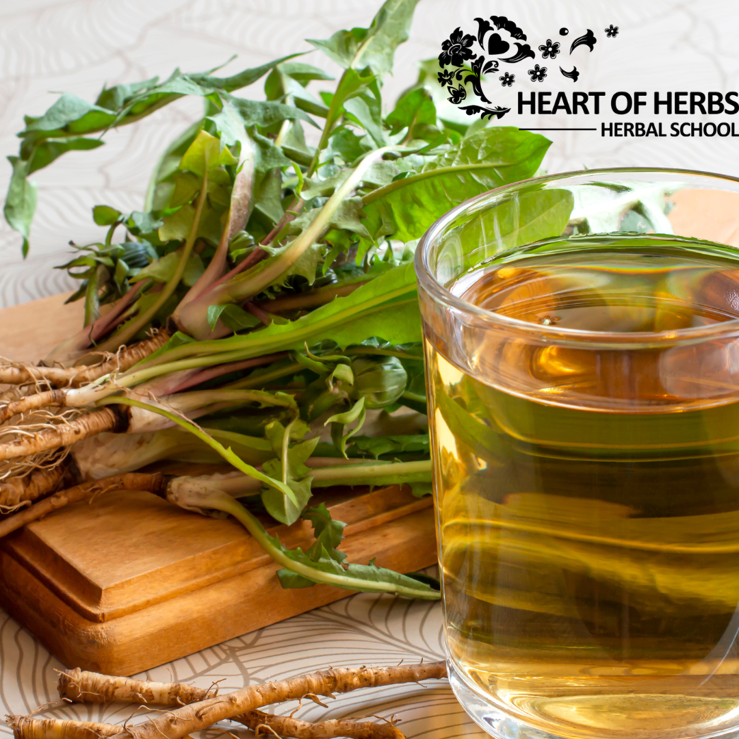 Step by Step Guide to Becoming an Herbalist
