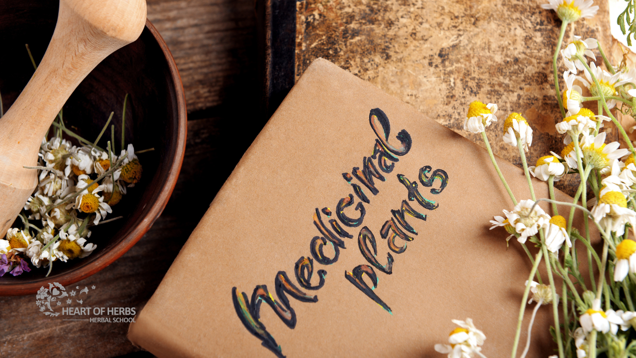 GreenSpirit Herbal Wisecraft books