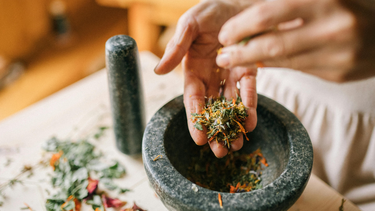 Why Not Harvesting Is the Highest Form of Herbal Practice