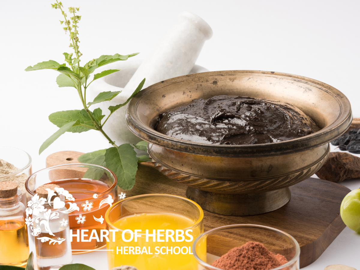 Ayurveda Certification: The Knowledge of Life</p>
<p>Become a Certified Ayurvedic Herbalist — at your own pace, from anywhere, guided every step by a best-selling author who's been teaching herbalists since 1998.