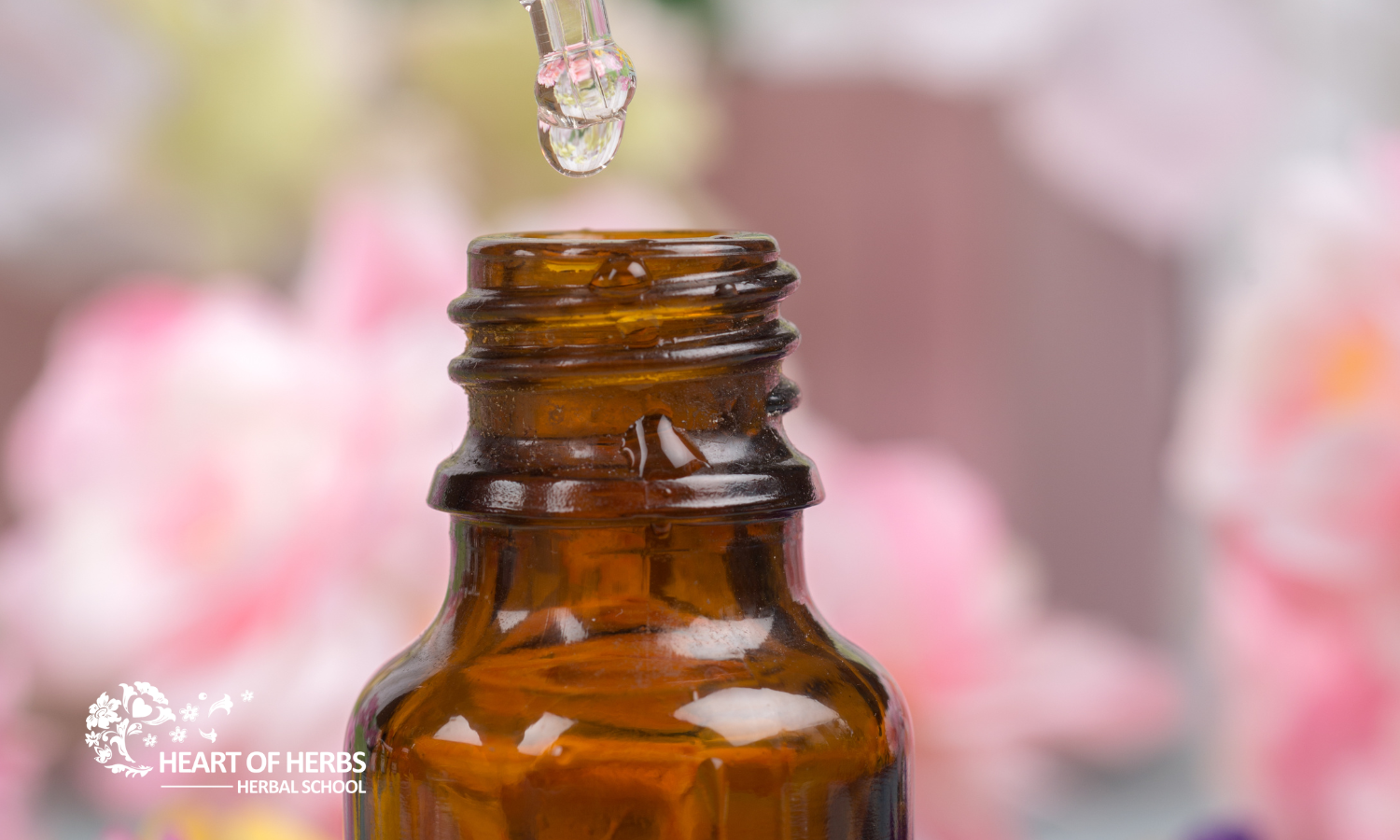 Flower Essence Practitioner