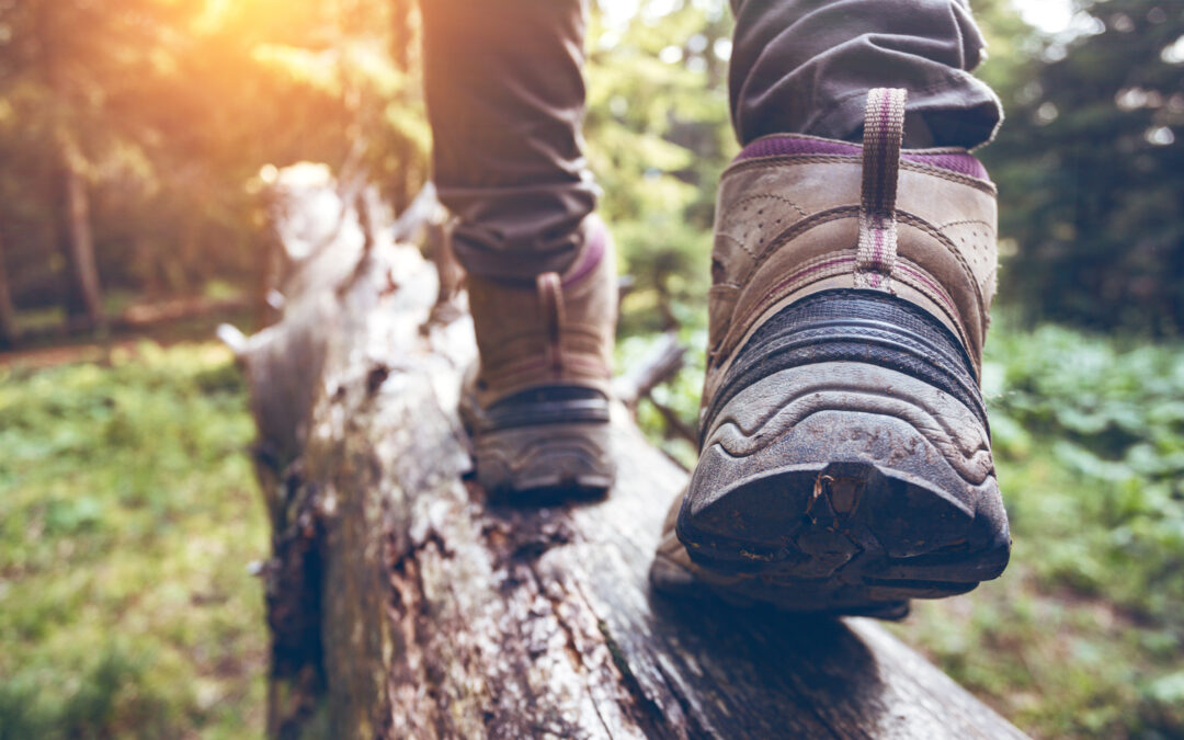 Hitting the Treeline: What you need.