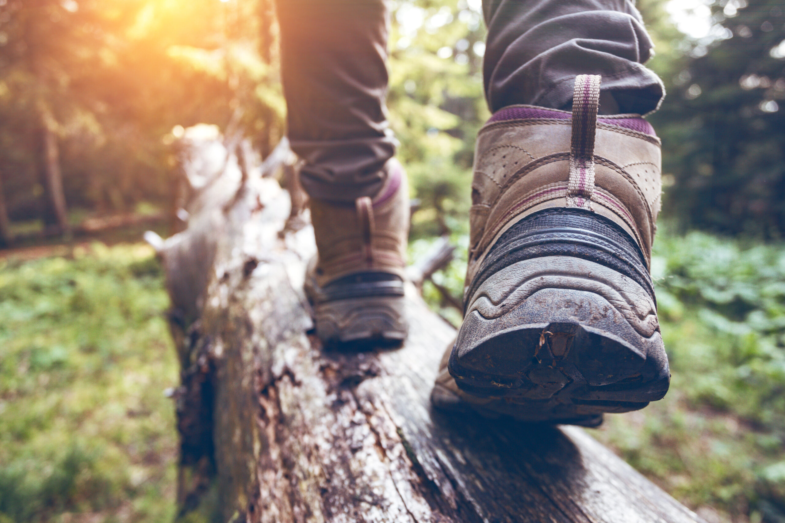 Hitting the Treeline: What you need.